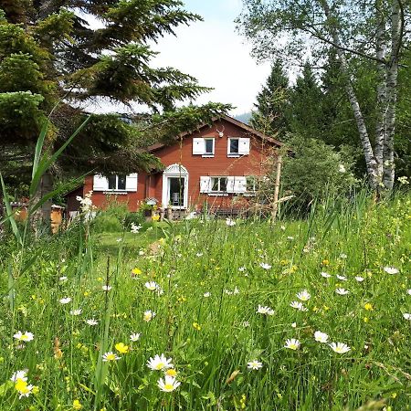 Chalet Chic Wildhaus Exterior photo