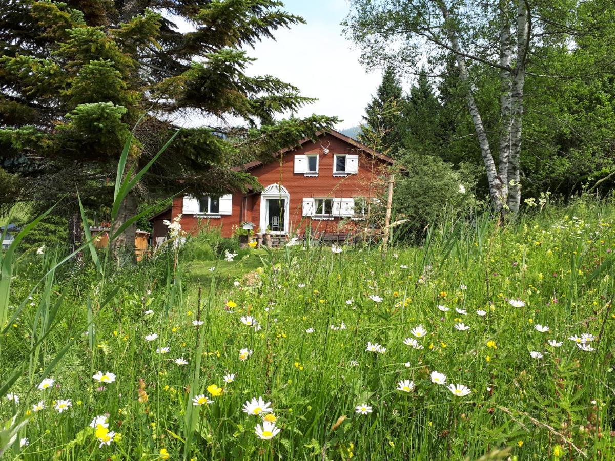 Chalet Chic Wildhaus Exterior photo